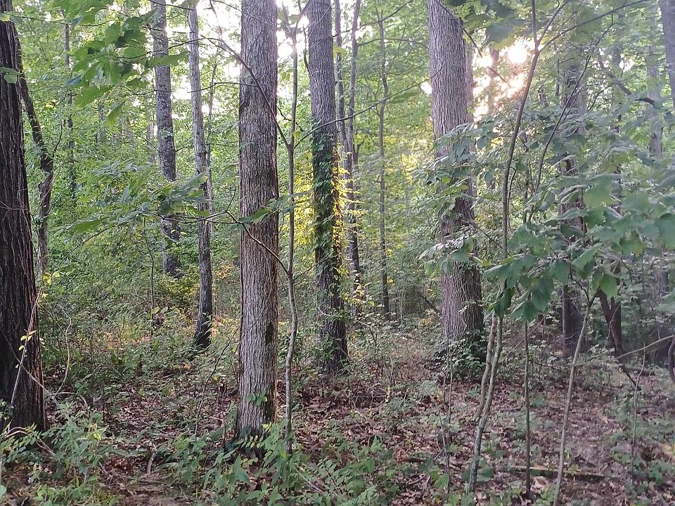 0 Pratt Cemetery Rd, Milan, TN 38358 MLS 232410 Zillow