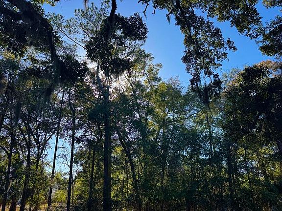 4th image of 8785 Palmetto Rd