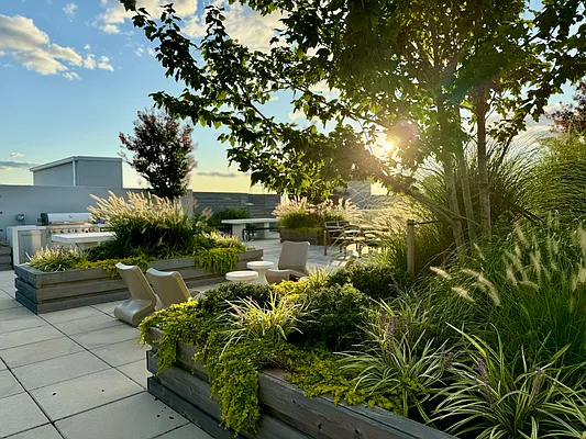 Rented by Realty Collective | media 13