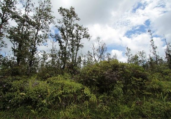 2nd image of Kehaulani St Lot 27