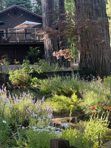 2723 Big Springs Rd, Westwood, CA, 96137