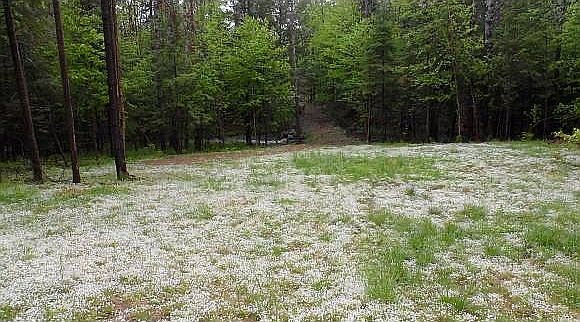 2nd image of 200 Valley Rd