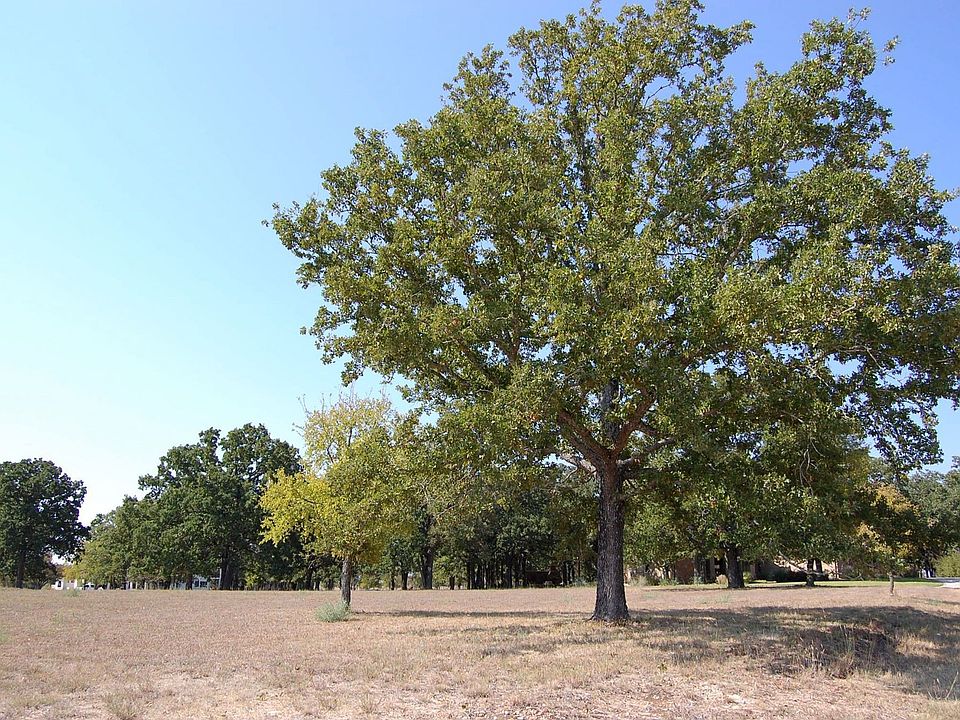 Golf course lot