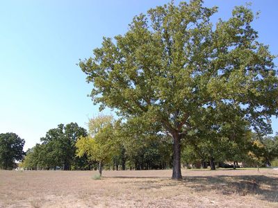 101 Hopewell Cir, Georgetown, TX, 78628