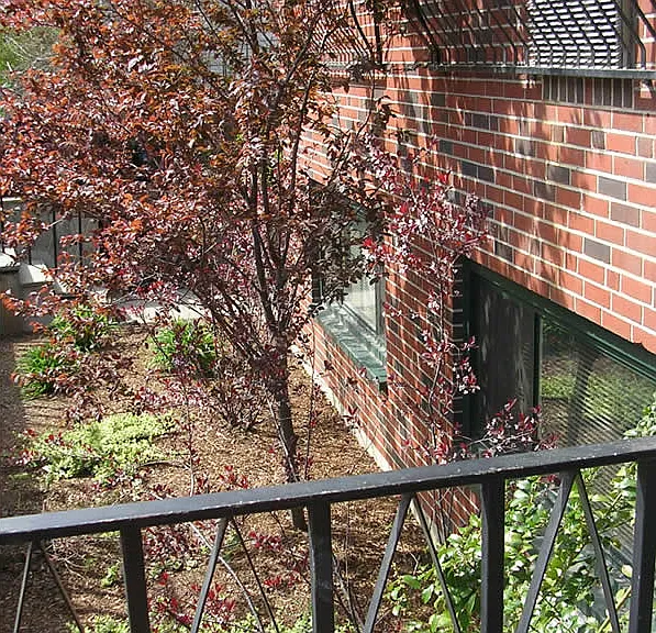 374 Harvard St #19 — Photo 3