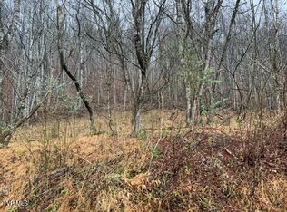 N Fork River Rd, Abingdon, VA 24210