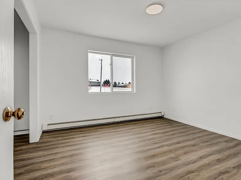 704 Nicc Apt Dr — Photo 11
