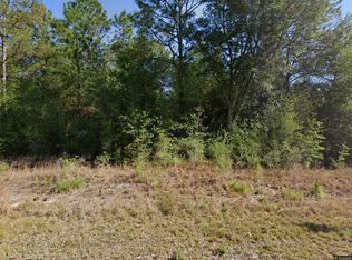 20313 SW Audubon Avenue, Dunnellon, FL 34431