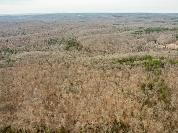 10395 Briarcliff Trl, Richwoods, MO 63071