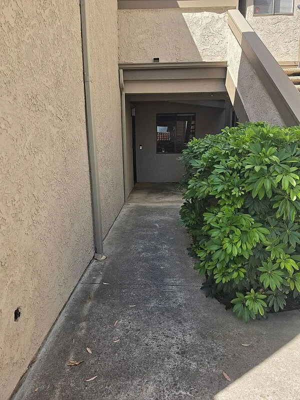 3 bed, 2.0 bath, 1100 sqft, $3,800 — Photo 4