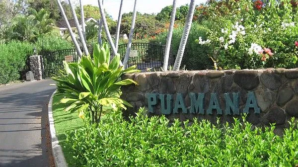 185 Pualei Dr #3 — Photo 35