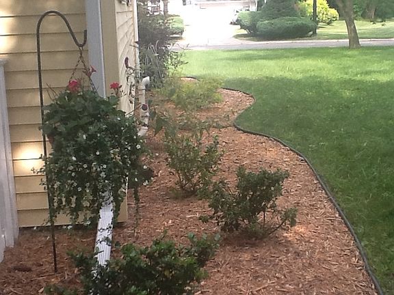 side landscaping