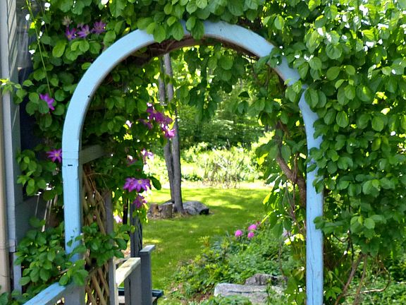 Entrance to the back yard