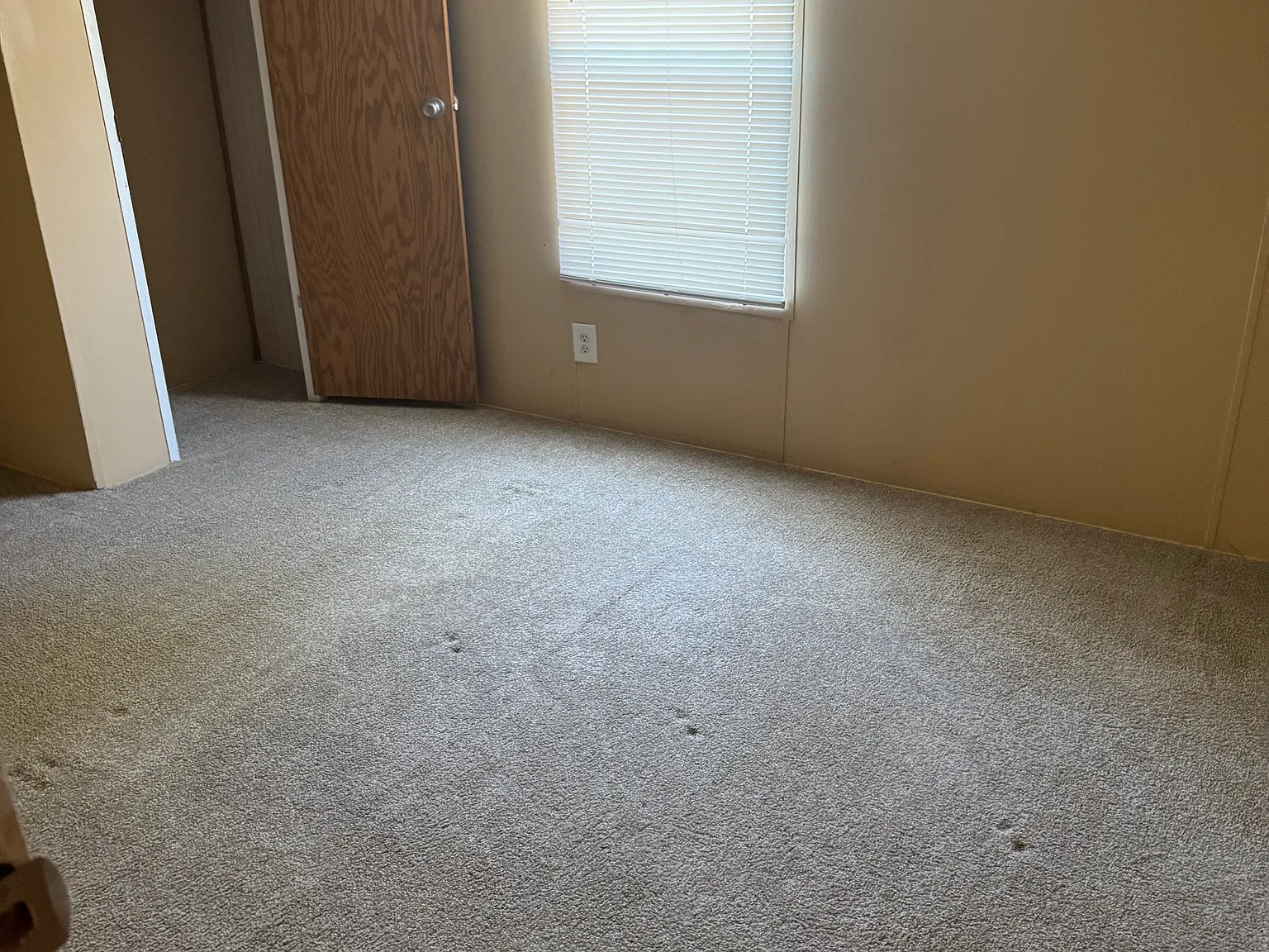 2 bed, $1,100 — Photo 4