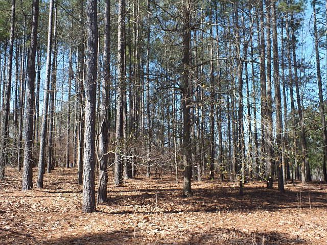 1st image of Greatwood Ct Lot 30