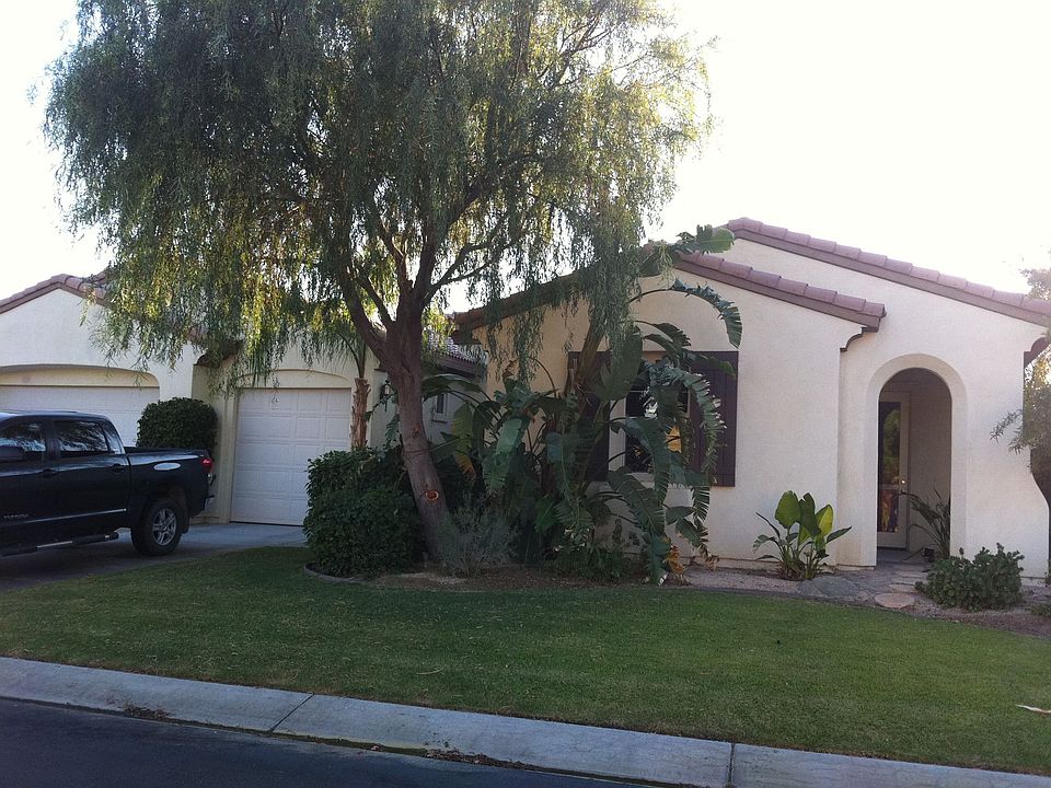 Matrue shade tree out front
