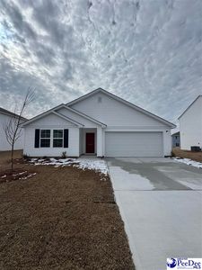 1266 Rushmore Loop, Florence, SC, 29506