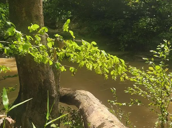 LOT 18 Reeves Mill Rd #8.49, Sutherlin, VA 24594