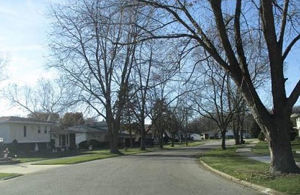 2nd image of 2849 Forest Ln