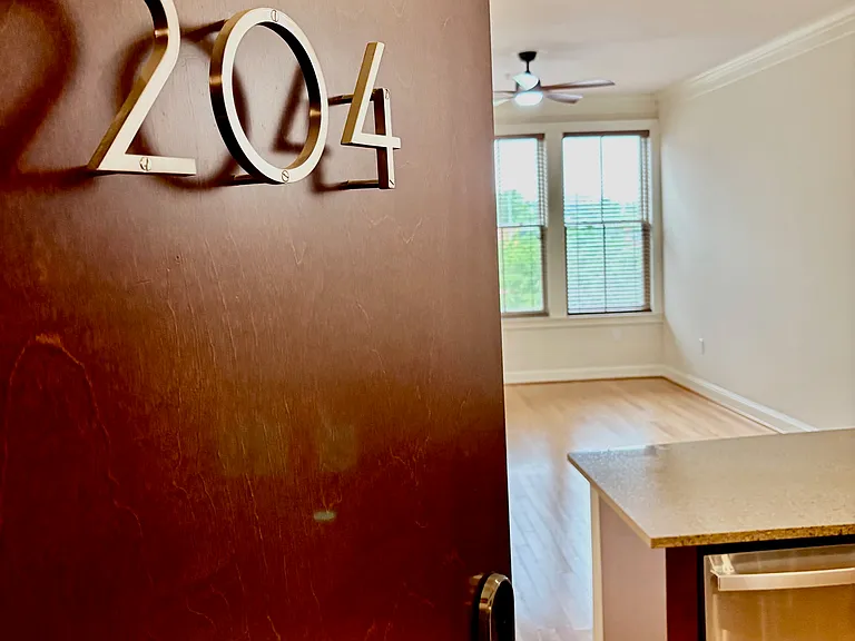 Welcome to #204!