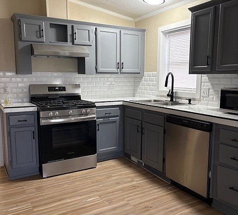 5th image of 12609 Dessau Rd Lot 486