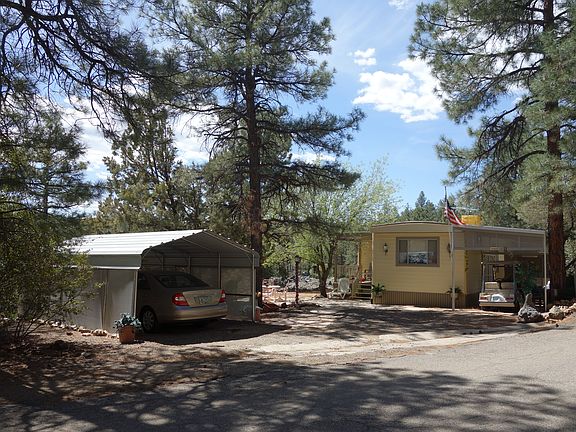 Home in the pines