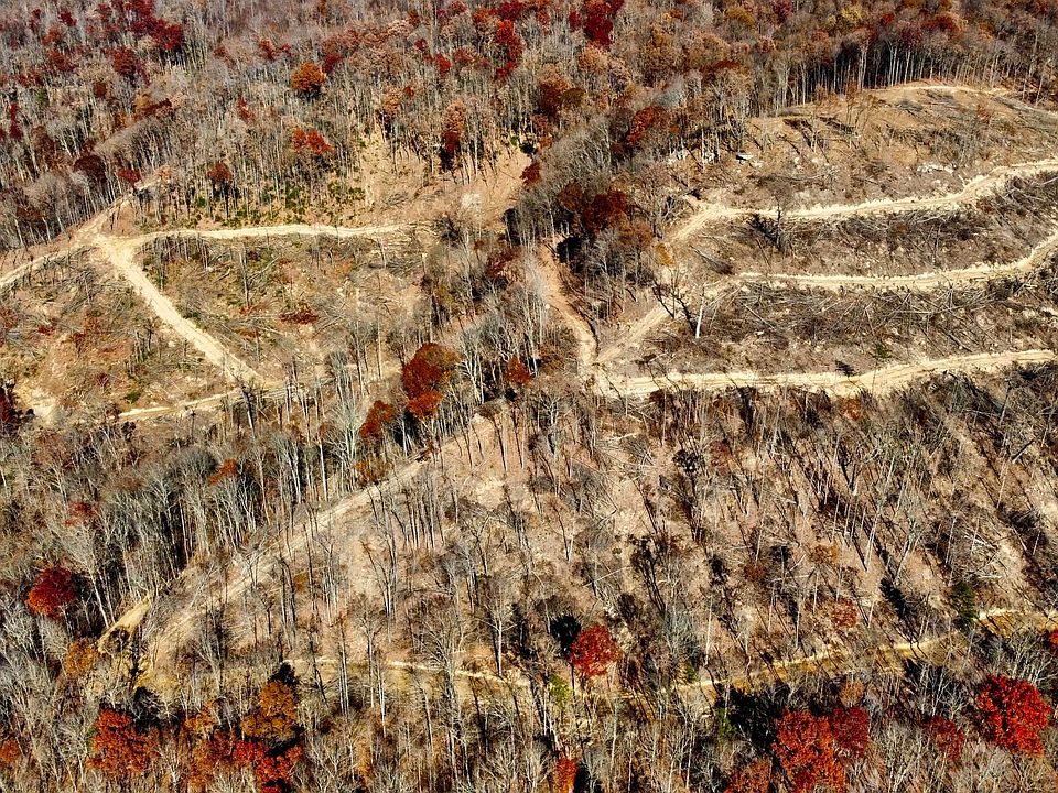 2nd image of 15 Stanley Creek Rd