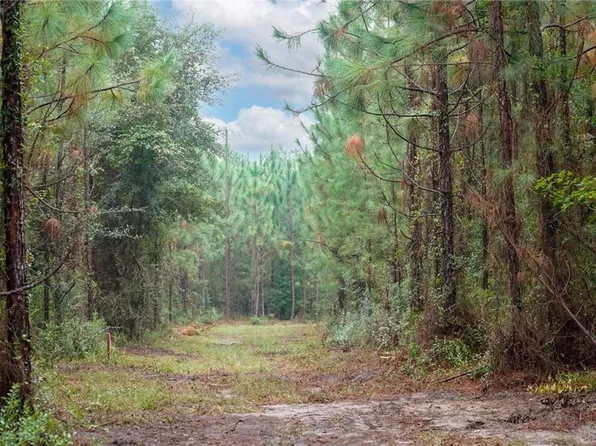 5 Tract Old Saddle Way Rd, Townsend, GA 31331
