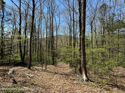 30 Dymond Road, Kerhonkson, NY, 12446