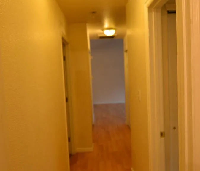 Hallway to Living Room