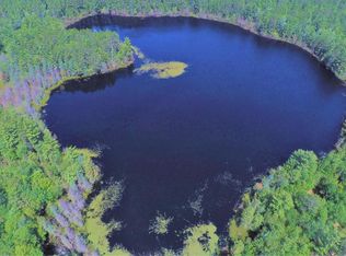 Birch Lake Rd #160 ACRES, Watersmeet, MI 49969