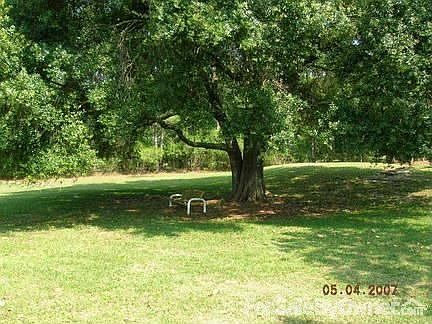 3rd image of 7855 Saddle Creek Trl
