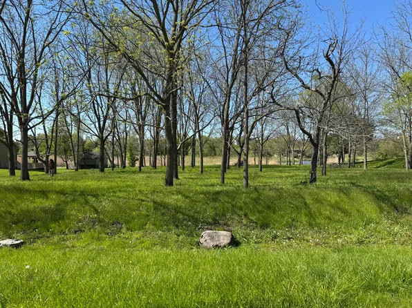 LOT 9 Duchesne Dr, Dundee, IL 60118