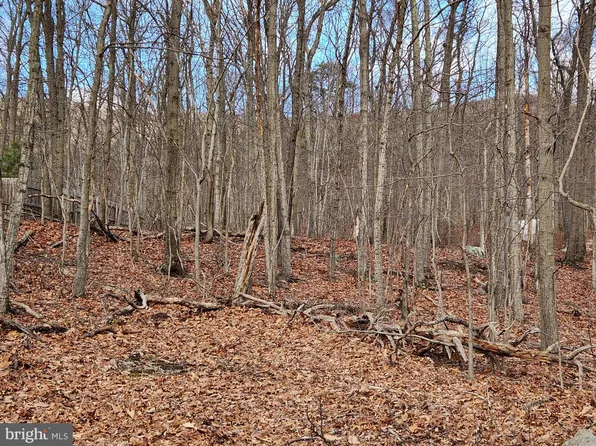 LOT 8 Opossum Trl, Winchester, VA 22602