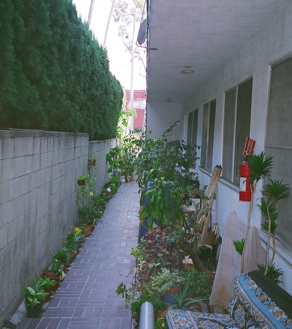 1 bed, 600 sqft, $2,598 — Photo 4
