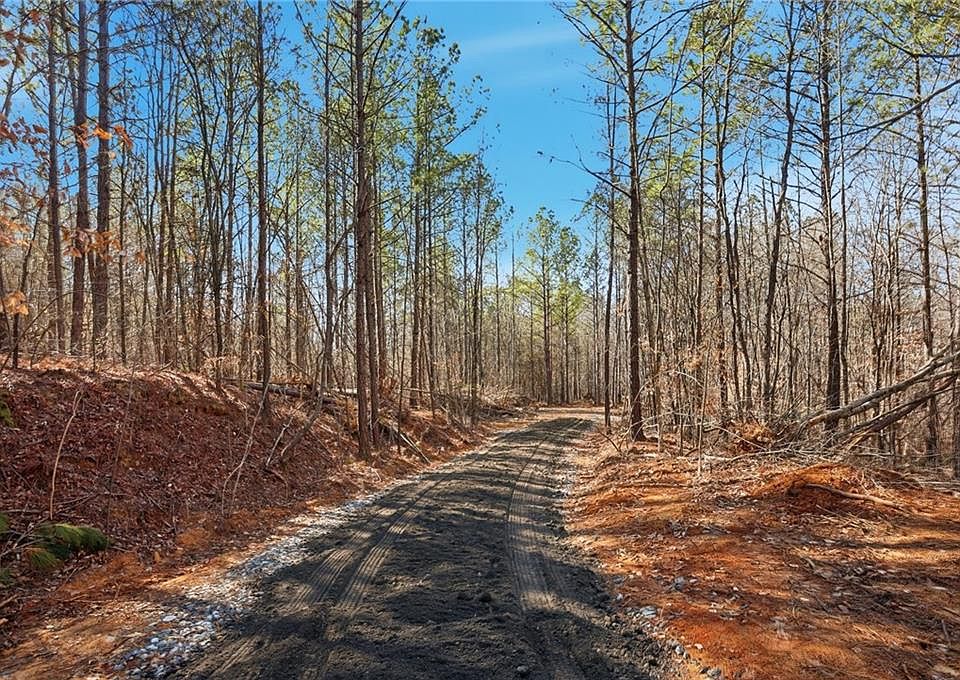 1st image of On Orlando Path #5
