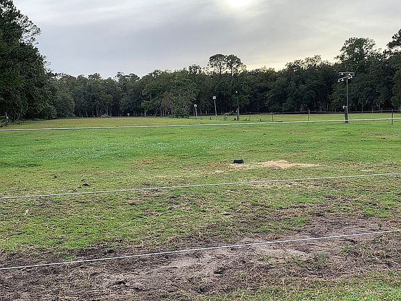 Planted all Coastal Burmuda