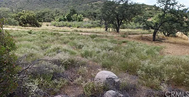 576 Viejo Rd photo 1