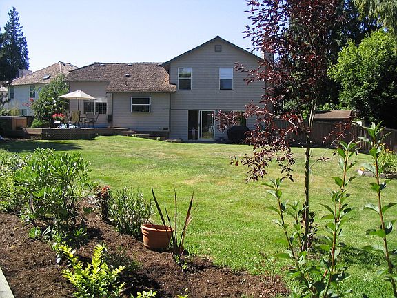 Backyard with landscaping