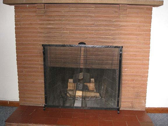 Wood burning fireplace in the living room