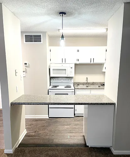 Floor plan 1 Bedroom 1 Bathroom Apartment