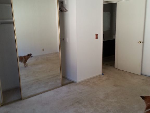 4th image of 970 Kiely Blvd Unit G