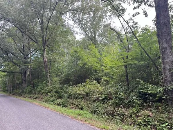 Betts Bottom Rd, Heathsville, VA 22473