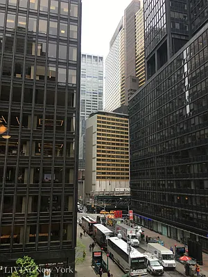 Rented by Living New York | media 22