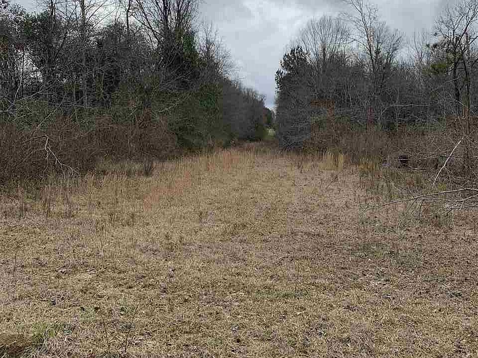 1st image of 9117 County Road 24 Lot 1