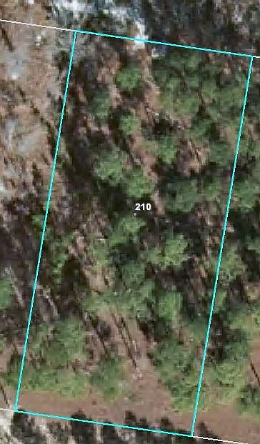 2nd image of 210 Pine Oak