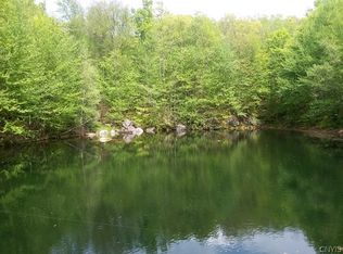 0 Brantingham Rd #13, Greig, NY 13345