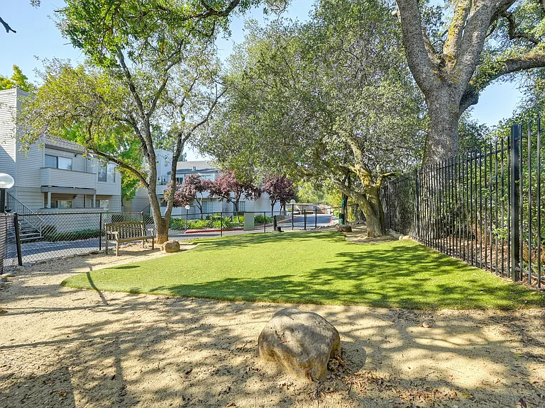 Dog Park On Site