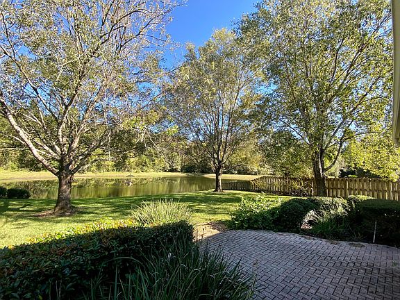 backyard with preserve view.