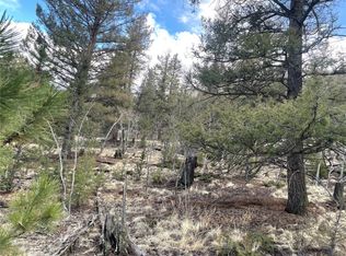 396 La Plata Dr, Hartsel, CO 80449